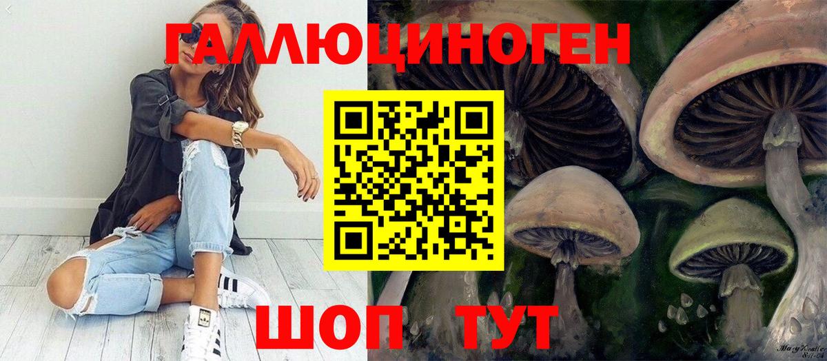 Псилоцибиновые грибы Psilocybe  купить наркотик  Новочеркасск  Вход с VPN 