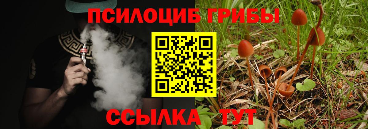 Галлюциногенные грибы мухоморы Новочеркасск